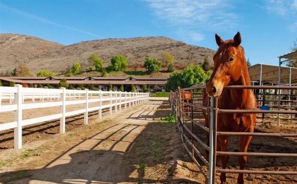 Wolfe Canyon Ranch (4/10/2026 - Credits: submitted by: Jenelle Kagay)