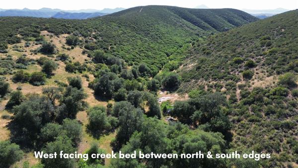 Double D Acres (4/6/2026 - Credits: Denise Dawley)