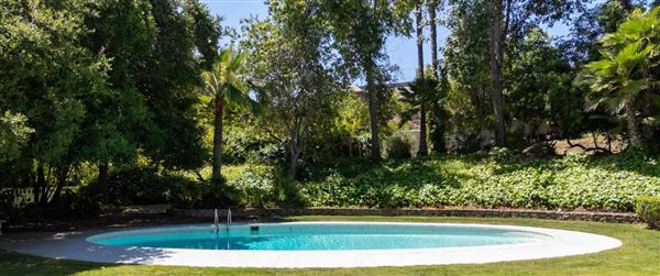 Vintage Hollywood Vibes – Secluded Palm-Lined Mid-Century Pool Oasis Wrapped In Lush Greenery – A Filmmaker’s Dream! (4/5/2025 - Credits: Elegant Textiles, Inc.)