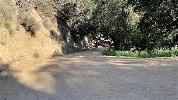 Boy Scout Trail - Griffith Park (3/6/2022 - Credits: Leo Fialho)