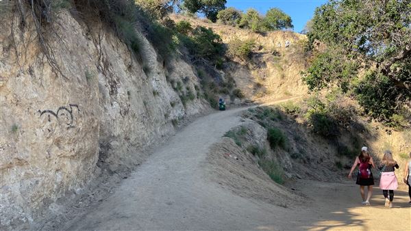 Boy Scout Trail - Griffith Park (3/6/2022 - Credits: Leo Fialho)
