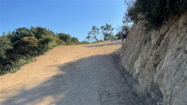 Boy Scout Trail - Griffith Park (3/6/2022 - Credits: Leo Fialho)