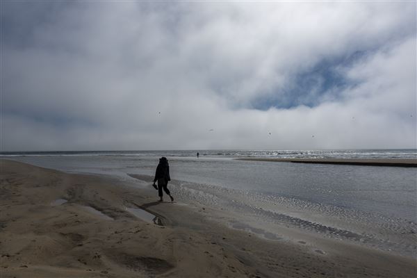 Huntington State Beach (SB) (3/18/2019 - Credits: Brian Baer)
