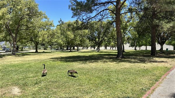 Santa Fe Dam Recreational Area - Picnic Areas & Walking Paths (4/23/2026 - Credits: Brandy Davis)