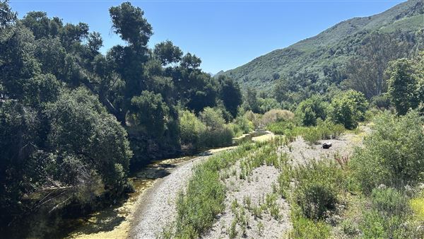 Peter Strauss Ranch - National Park Service (NPS) - View from Sheila Kuehl Bridge (5/8/2026 - Credits: Brandy Davis)