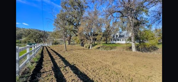 Solace Ranch & Vineyard (Credits: Solace Ranch)