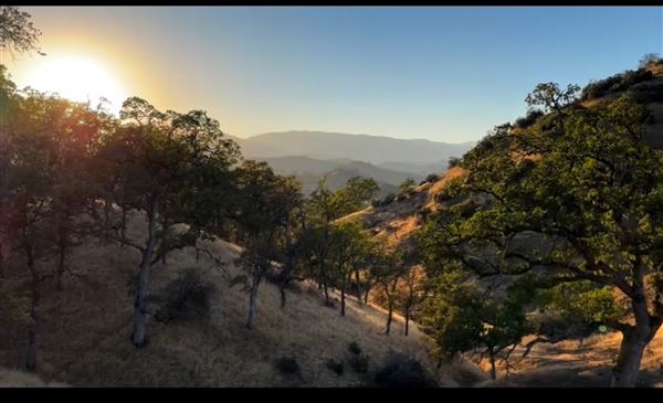 Solace Ranch & Vineyard (5/13/2026)