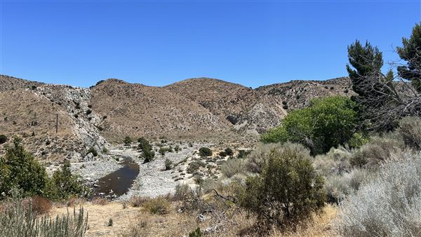 Little Rock Reservoir - Angeles National Forest - Closed Entrance (6/11/2026 - Credits: Brandy Davis)