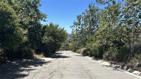 Deukmejian Wilderness Park (7/6/2026 - Credits: Brandy Davis)