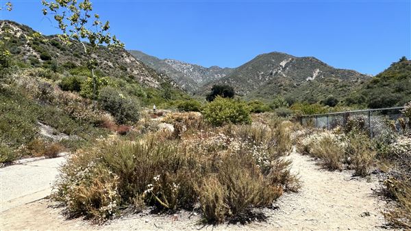 Deukmejian Wilderness Park (7/6/2026 - Credits: Brandy Davis)