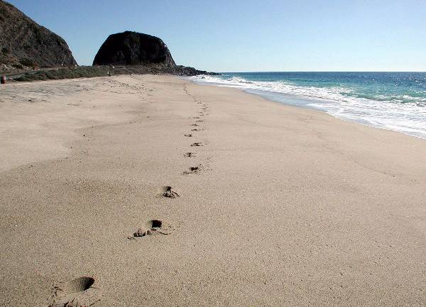 Point Mugu State Park (SP) - CFC (12/31/2003)