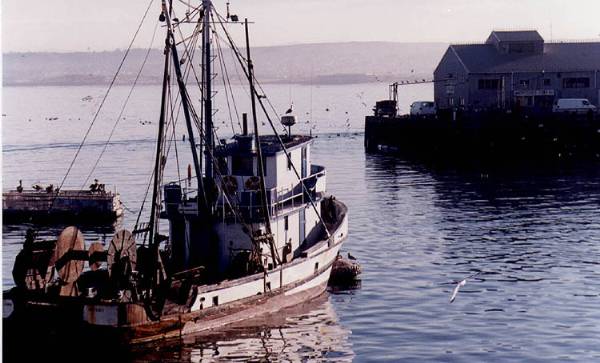 Monterey Municipal Wharf #2 (12/31/2003)