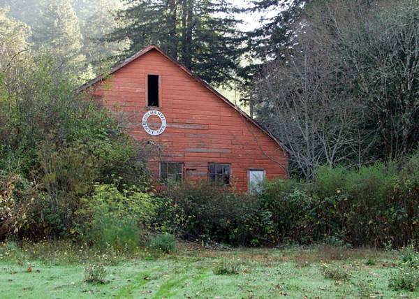 Occidental (12/31/2003)