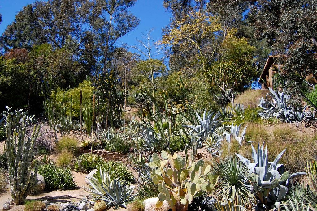 Los Angeles Zoo Botanical Gardens La Zoo