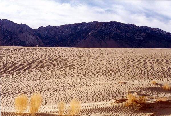 Olancha Sand Dunes - Bureau of Land Management - California Desert District - Ridgecrest Field Office - BLM - Off Highway Vehicle Area - OHV (12/31/2003)