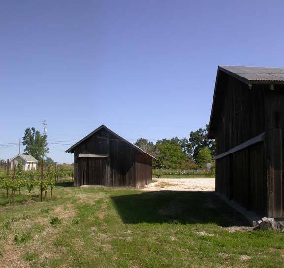 Olivet Grange Vineyard (12/31/2003)