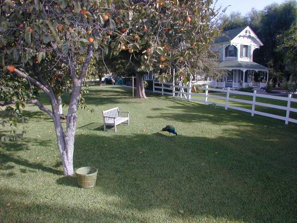 Paddison Farm Victorian Estate (12/31/2003)