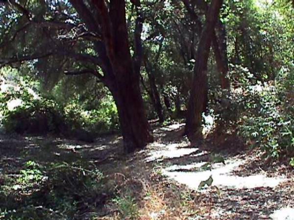 Paramount Ranch - National Park Service (NPS) (12/31/2003)
