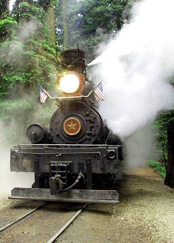 Roaring Camp Railroad (12/31/2003)