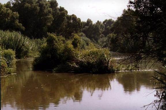 Santa Ana River within the Hidden Valley Wildlife Area (12/31/2003)