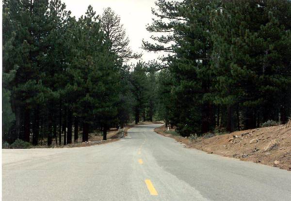 Sherman Pass @ Chimney Peak (12/31/2003)