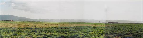 Brackett Field Airport (7/27/2010)