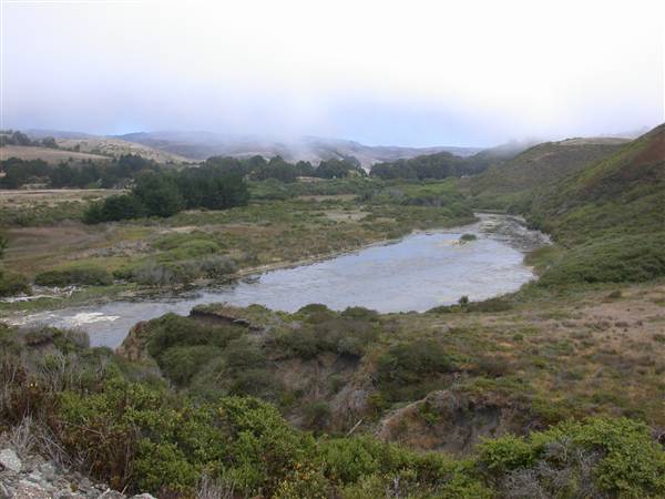 San Gregorio State Beach (SB) - San Gregorio Creek (8/3/2010)