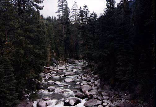 Stanislaus River, Tuolumne County (12/31/2003)