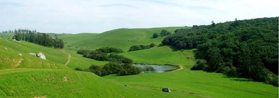 Tresch Dairy (12/31/2003)