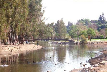 Vasona Lake County Park (12/31/2003)