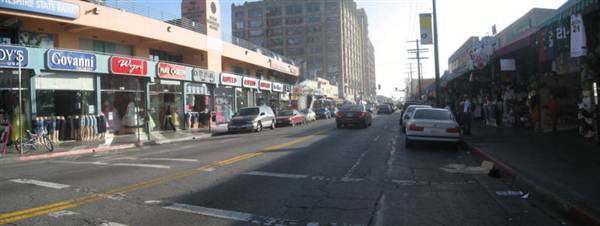 Maple Ave. (9/1/2010 - Credits: Lindsay Mizrahi)