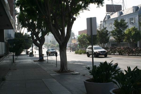Wilshire Blvd. & Commonwealth Ave. (9/1/2010 - Credits: Lindsay Mizrahi)