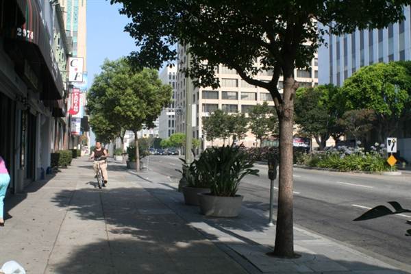 Wilshire Blvd. & Commonwealth Ave. (9/1/2010 - Credits: Lindsay Mizrahi)