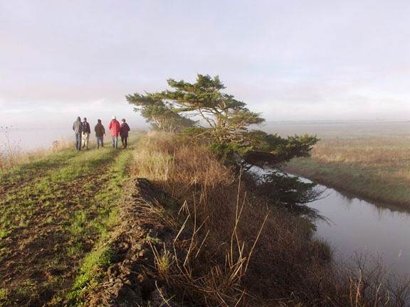 Arcata Marsh and Wildlife Sanctuary - Arcata Marsh Levy Trail (4/25/2011)