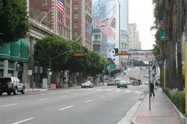 Olive St. between 5th and 6th St. (9/1/2010 - Credits: Lindsay Mizrahi)