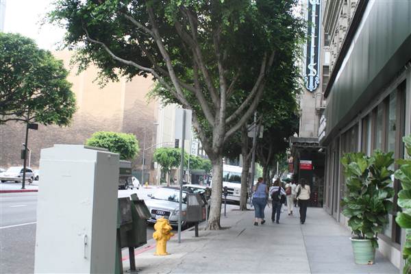 Olive St. between 6th and 7th St. (9/1/2010 - Credits: Lindsay Mizrahi)