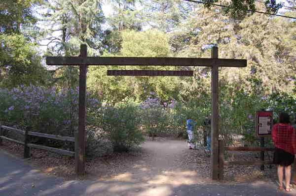 Descanso Gardens - Lilac Garden (6/14/2011 - Credits: David Golden)