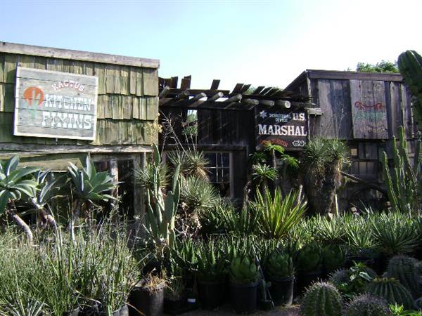 California Nursery Specialties - Cactus Ranch (6/22/2011 - Credits: J. Steven Witkowski)