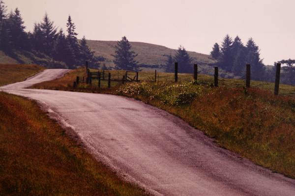 Bear River Ridge Road - Off HWY 101 (3/5/2008)
