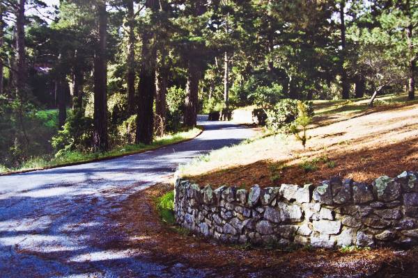 Fern Canyon Road (3/17/2008)