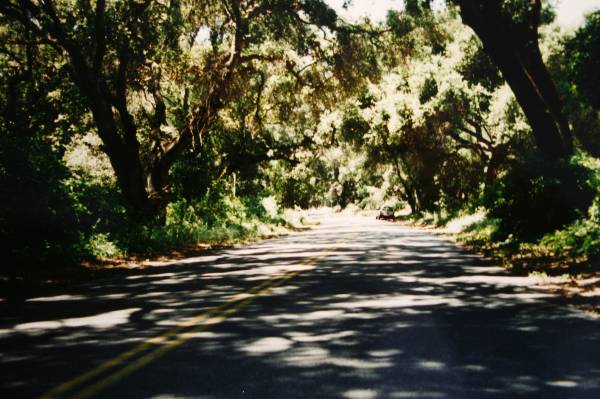 Huasna Road (3/17/2008)