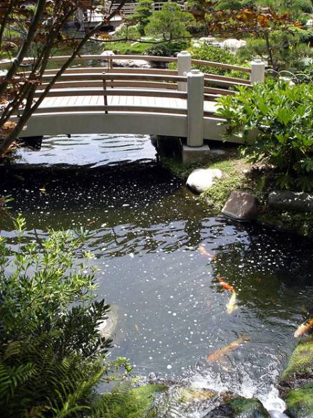 Earl Burns Miller Japanese Garden - California State University Long Beach - CSULB (9/11/2008)