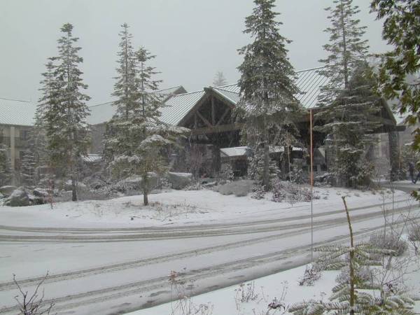 Yosemite National Park (12/25/2008)