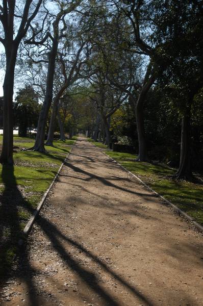 Beverly Gardens Park (2/3/2009)