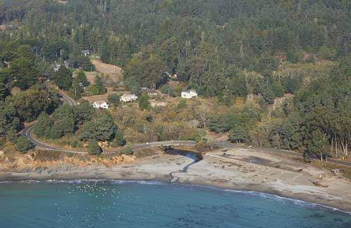 Van Damme State Park (SP) / Beach / Pygmy Forest / Fern Canyon Trail / Spring Ranch Trail (4/7/2009)
