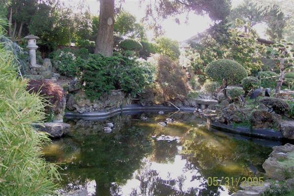Japanese Tea Garden - San Mateo Central Park & Recreation Center (6/24/2013)