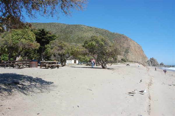Sycamore Cove State Beach (SB) & Campground @ Point Mugu State Park (SP) - CFC (10/29/2013 - Credits: David Golden)