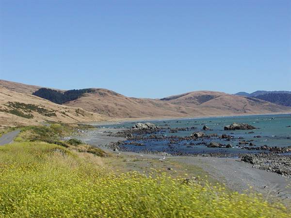 Mattole Road (1) (2/17/2014)
