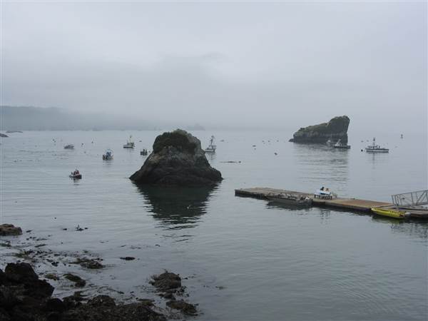 Trinidad Harbor (2/17/2014)