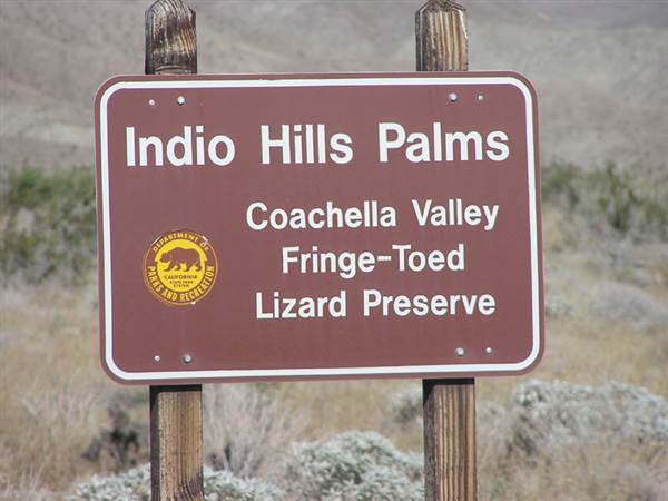 Indio Hills Palms Park Property (4/21/2014)